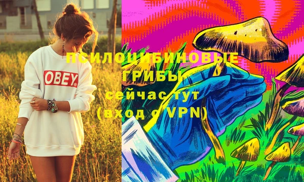 амф Володарск