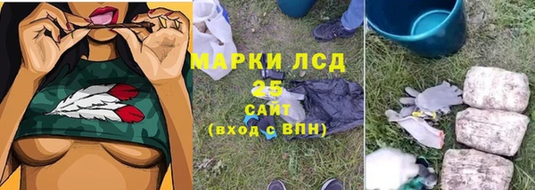 амф Володарск