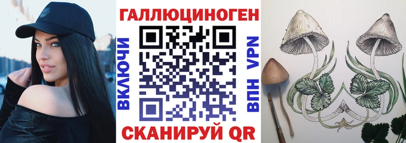 Галлюциногенные грибы Magic Shrooms  MEGA ссылка  Чекалин 